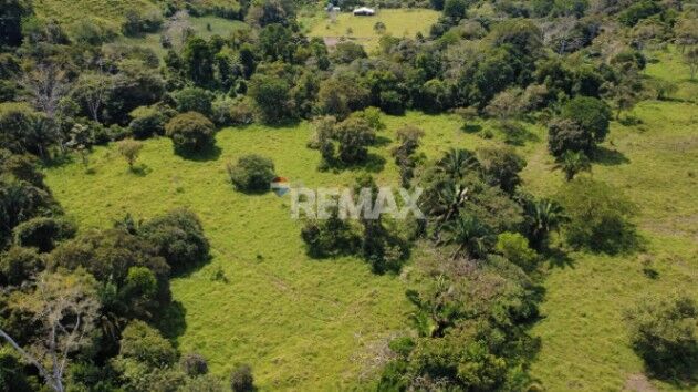 FINCA GANADERA 27 HECTÁREAS EN PÉREZ ZELEDÓN en Pejibaye, Pérez Zeledón, San José — $390,000