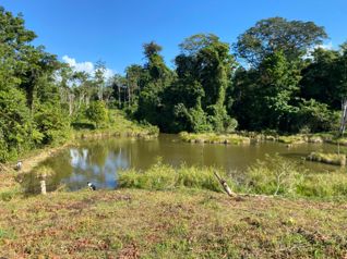 Venta Finca Productiva 96 Ha con Río y Nacientes Cutris San Carlos in Cutris, San Carlos, Alajuela — $1,275,000 - Photo 2 of 14