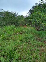 Gran oportunidad de inversión en San Jerónimo de Acosta, San José, Costa Rica. in Guaitil, Acosta, San José — ₡ 77 000 000