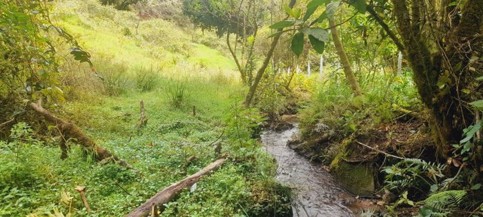 Venta de Lote en Macho Gaff, San Isidro, El Guarco en San Isidro, El Guarco, Cartago — ₡ 50 000 000