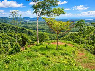 Finca de 105 Hectáreas con Vista al Mar en Osa en Sierpe, Osa, Puntarenas — $3,000,000 - Foto 4 de 17