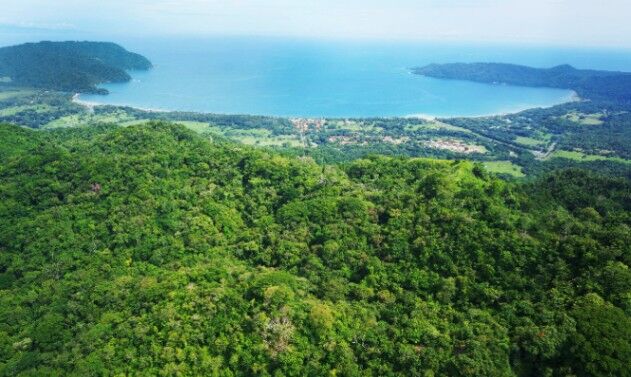 ¡Oportunidad Única de Inversión en Puntarenas, Costa Rica! Finca impresionante con vistas al mar en Paquera, Puntarenas — $8,800,000