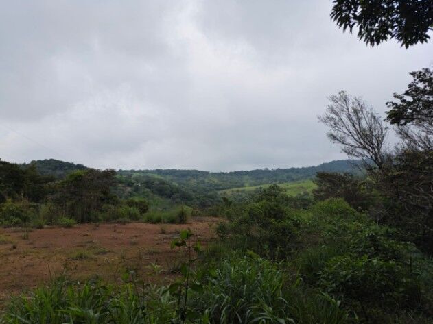 ¡Tú Oasis Privado te Espera en el Campo, San Francisco de San Ramón!  en Piedades Sur, San Ramón, Alajuela — ₡ 48 000 000