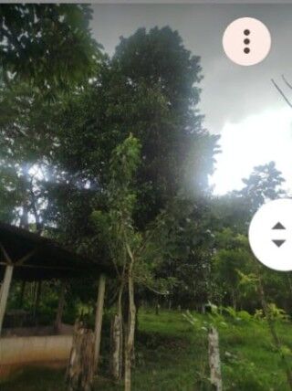 Finca  EN VENTA 2HA  Río Celeste- GUATUSO  en Katira, Guatuso, Alajuela — ₡ 65 000 000