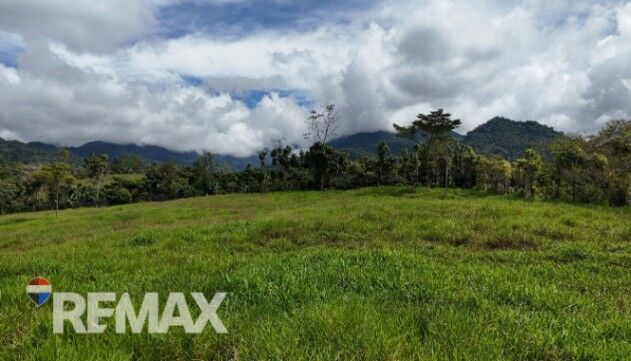 LOTE EXCLUSIVO EN VENTA – IDEAL PARA VIVIENDA O INVERSIÓN in San Isidro De El General, Pérez Zeledón, San José — $65,000