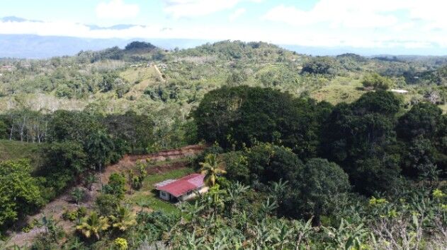 Finca de 2.7 hectares con casa. en Platanares, Pérez Zeledón, San José — $205,000