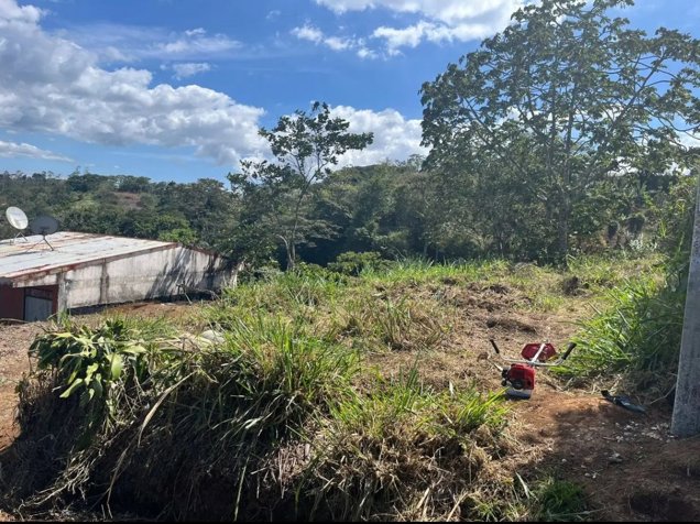 Lote en San Ramón in Piedades Norte, San Ramón, Alajuela — ₡ 8 000 000