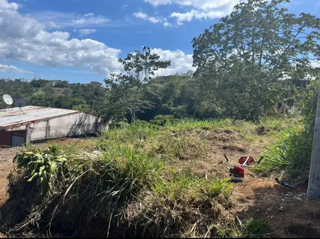 Lote en San Ramón en Piedades Norte, San Ramón, Alajuela — ₡ 8 000 000