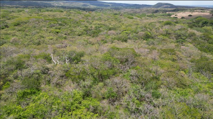 Terreno en venta en Liberia, Guanacaste en Nacascolo, Liberia, Guanacaste — ₡ 162 500 000 - Foto 3 de 14