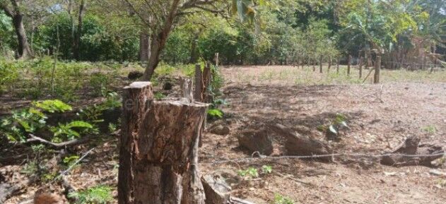 MLS-26-1603 VENTA LOTE SANTA CRUZ GUANACASTE in Santa Cruz, Guanacaste — $185,000