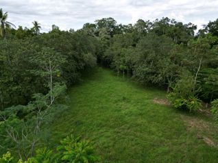 Propiedad de 5,000 m2 en Platanar de SanCarlos en La Fortuna, San Carlos, Alajuela — $100,000 - Foto 2 de 4