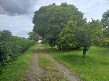 Se vende amplia finca de 3,800m2 en San Pedro de Barva 25-121 in San Pedro, Barva, Heredia — $350,000 - Photo 4 of 22