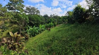 LOTE EN VENTA EN LAS MERCEDES DE CAJÓN, PÉREZ ZELEDÓN – 2,466 M² in Cajón, Pérez Zeledón, San José — 58 000 ₡ - Photo 5 of 13