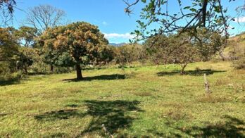 Venta de Lote en Desamparados-San Miguel. RAH 25-1406 en San Miguel, Desamparados, San José — $800,000 - Foto 5 de 18