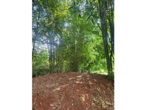 VENTA DE LOTES, ALAJUELA, TURRÚCARES - 9988165 en Turrúcares, Alajuela — ₡ 24 000 000