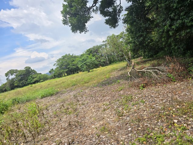 Lote en venta en Santo Domingo. Uso mixto - desarrollar. 5PVV9634224 en San Miguel, Santo Domingo, Heredia — $3,877,358 - Foto 3 de 15