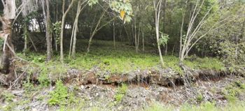 Terreno para desarrollo Corozalito Guanacaste AJ en Bejuco, Nandayure, Guanacaste — $306,880 - Foto 5 de 23
