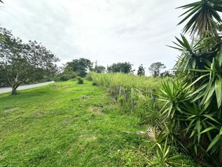 Venta de terreno de 6,11 ha con uso mixto y doble frente en Heredia #27-305 GS - Photo 3 of 3