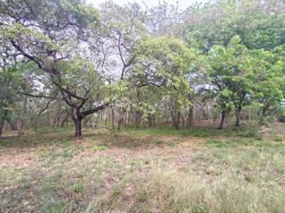 Lote de 4000m2 a 5 minutos de la Playa Marbella en Cuajiniquil, Santa Cruz, Guanacaste — $185,000 - Foto 4 de 13