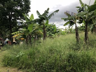 Venta de lote comercial, 6760 metros, en San Roque, Grecia in San Roque, Grecia, Alajuela — $675,000 - Photo 3 of 37