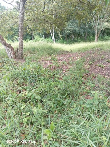 El encuentro con la naturaleza... El Rodeo. en Colón, Mora, San José — $184,000 - Foto 3 de 9