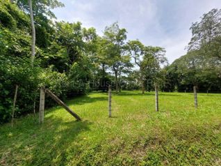 Venta de Lote Plano en Coyolar de Orotina.  RAH 27-824 en Coyolar, Orotina, Alajuela — 140 000 000 ₡ - Foto 4 de 9
