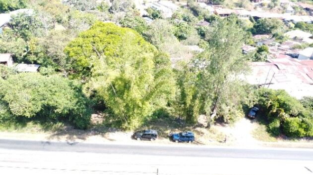 Lote para Desarrollo sobre la Carretera Interamericana a Solo 5 Minutos del Centro en San Isidro De El General, Pérez Zeledón, San José — $230,000 - Foto 2 de 14