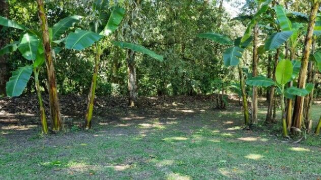 Venta de Finca - Tabarcia de Mora (Calle Vargas) in San Rafael, Alajuela — ₡ 60 000 000