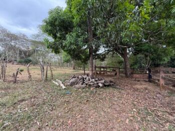 Se vende amplio lote de 6.4 hectáreas en Orotina Alajuela 25-1427 en La Ceiba, Orotina, Alajuela — $9,600,000 - Foto 5 de 20