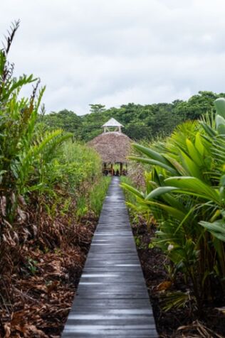 Oportunidad única en el Caribe Sur de Costa Rica,  Santuario natural entre río y mar in Limón — $388,000