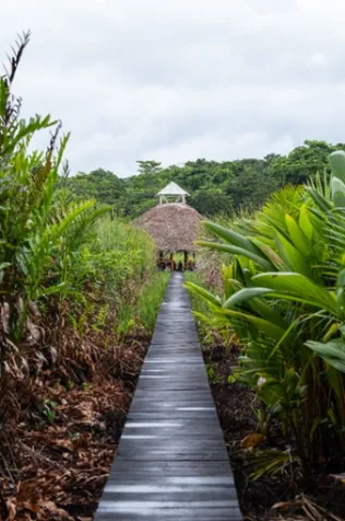 Oportunidad única en el Caribe Sur de Costa Rica,  Santuario natural entre río y mar en Limón — $388,000