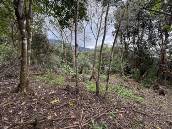 VENTA DE LOTE EN SAN JOSECITO DE CONCEPCIÓN ALAJUELITA. en Concepción, Alajuelita, San José — $155,000