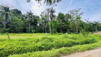 Terreno a la venta en Puerto Viejo, Limón en Cahuita, Talamanca, Limón — $90,000 - Foto 4 de 13