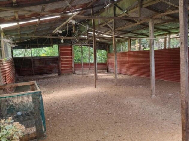 Venta de Finca en Cima de Dota, Dota-Copey, San José. RAH 26-212 PRECIO REBAJADO en Copey, Dota, San José — ₡ 155 000 000