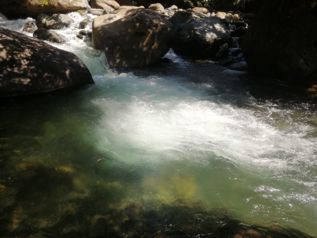 Cleanest River in Costa Rica, awarded with the Blue Flag  five stars
