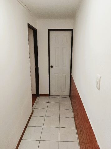 ALQUILER ALQUILER ALQUILER ALQUILER ALQUILER ALQUOLER ALQUILER  in San Pedro, Montes De Oca, San José — ₡ 360