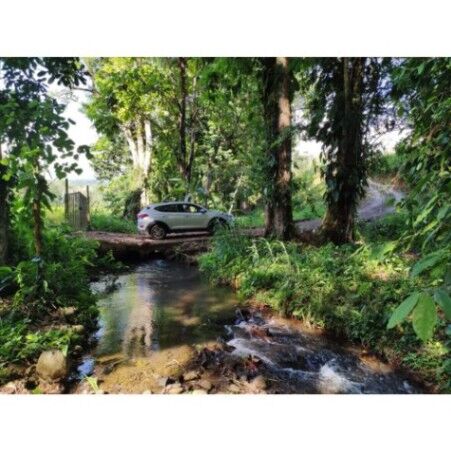 VENTA DE FINCA, USO MIXTO, ALAJUELA, SAN CARLOS, LA TIGRA   en La Tigra, San Carlos, Alajuela — ₡ 160 000 000