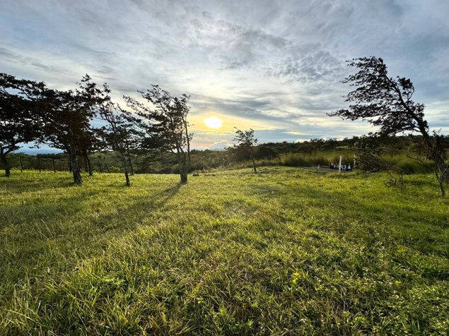 Venta de Lote con Hermosas Vistas in Piedades Sur, San Ramón, Alajuela — ₡ 22 500 000
