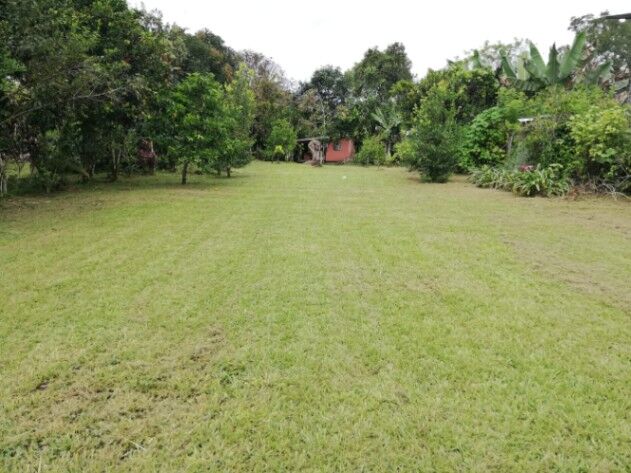 LOTE PLANO CON FRUTALES Y EXCELENTE UBICACION in San Isidro De El General, Pérez Zeledón, San José — ₡ 32 000 000
