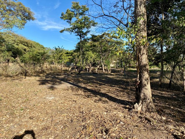 LOTE EN VENTA CAÑAS DULCES LIBERIA en Cañas Dulces, Liberia, Guanacaste — ₡ 23 800 000 - Foto 2 de 8
