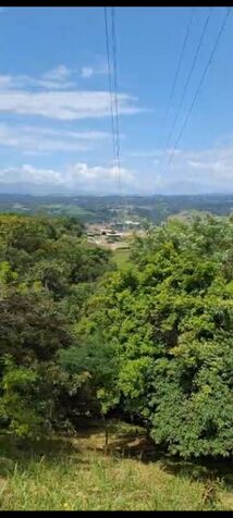 SE VENDE ESPECIAL Y ÚTIL FINCA EN RÍO GRANDE, ATENAS.  en Atenas, Alajuela — ₡ 100 000 000
