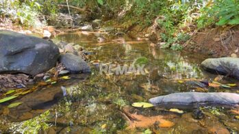 FINCA DE 28.7 HA PARA DESARROLLO Y AGRICULTURA EN MORAZÁN, PÉREZ ZELEDÓN CON NACIENTE PROPIA en Daniel Flores, Pérez Zeledón, San José — $750,000 - Foto 5 de 25