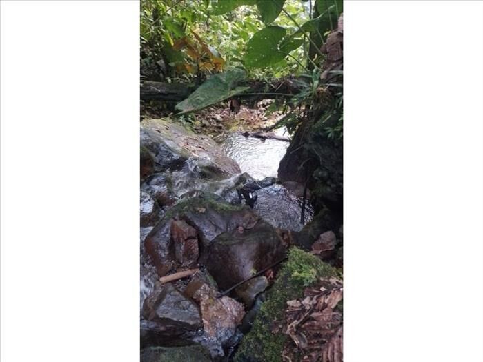 VENTA DE LOTE, ALAJUELA, OROTINA, COYOLAR en Coyolar, Orotina, Alajuela — ₡ 185 000 000