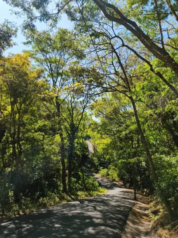 Oportunidad de Inversion en el sector mas versatil del pais en Bagaces, Guanacaste — $2,500,000