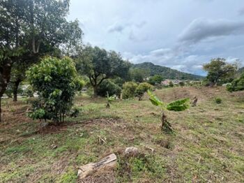 Venta de Lote en Dota-Santa María. RAH 26-1272 en Santa María, Dota, San José — 77 000 000 ₡ - Foto 5 de 6