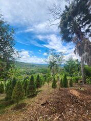 Lote con vista y servicios La Bonita, Rivas, Perez Zeledon en Rivas, Pérez Zeledón, San José — $125,000 - Foto 5 de 16