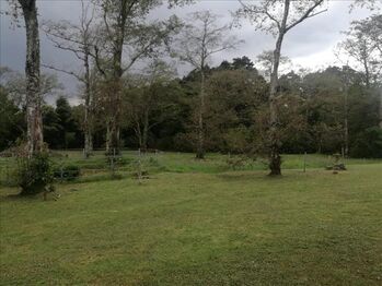 Finca en Venta San Rafael, San Rafael, Heredia