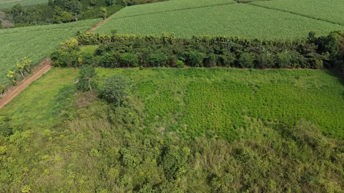 SE VENDE TERRENO LISTO PARA CONSTRUIR CON TOPOGRAFIA PLANA Y CERCA DE COMERCIOS en Cajón, Pérez Zeledón, San José — $70,000 - Foto 3 de 12