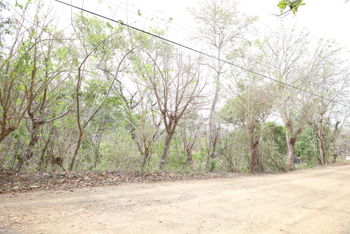 Propiedad en Lagunillas - Tárcoles, Garabito 6.8 Hectáreas in Tárcoles, Garabito, Puntarenas — 476 000 000 ₡ - Photo 4 of 11
