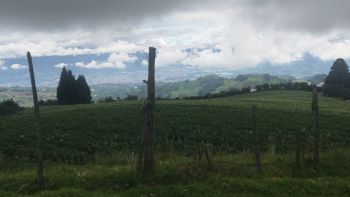 finca las pavas Llano grande de cartago
